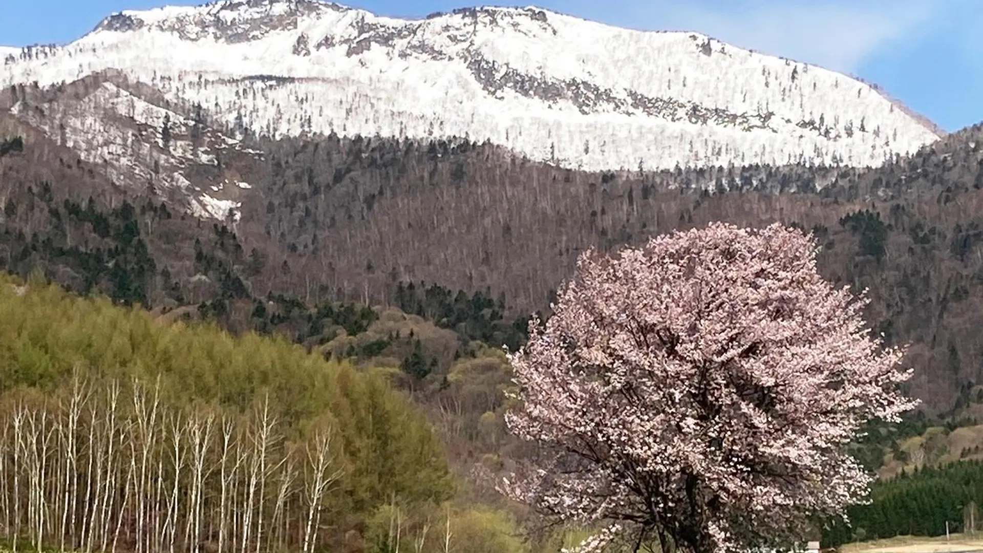 Furano - Hotel / Vacation Stay 35850
